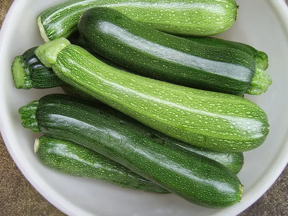 Courgettes
