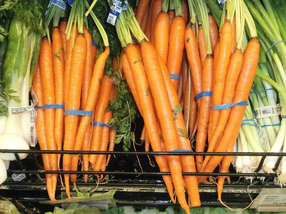 Carottes de sable