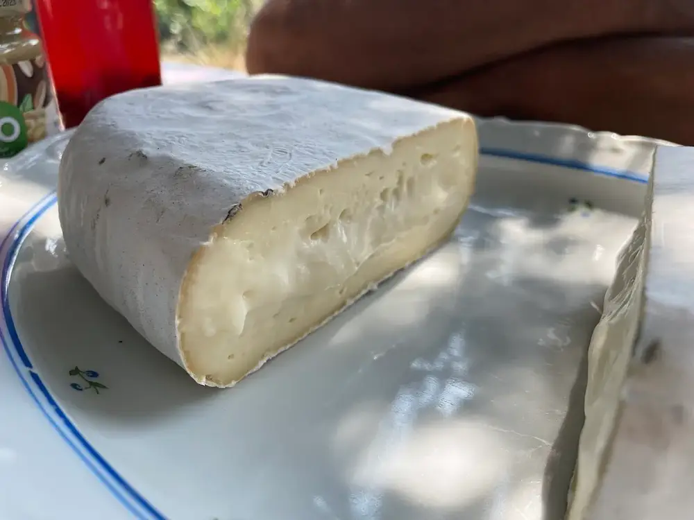 Saint-nectaire fermier